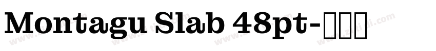Montagu Slab 48pt字体转换
